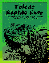 Reptile Expo